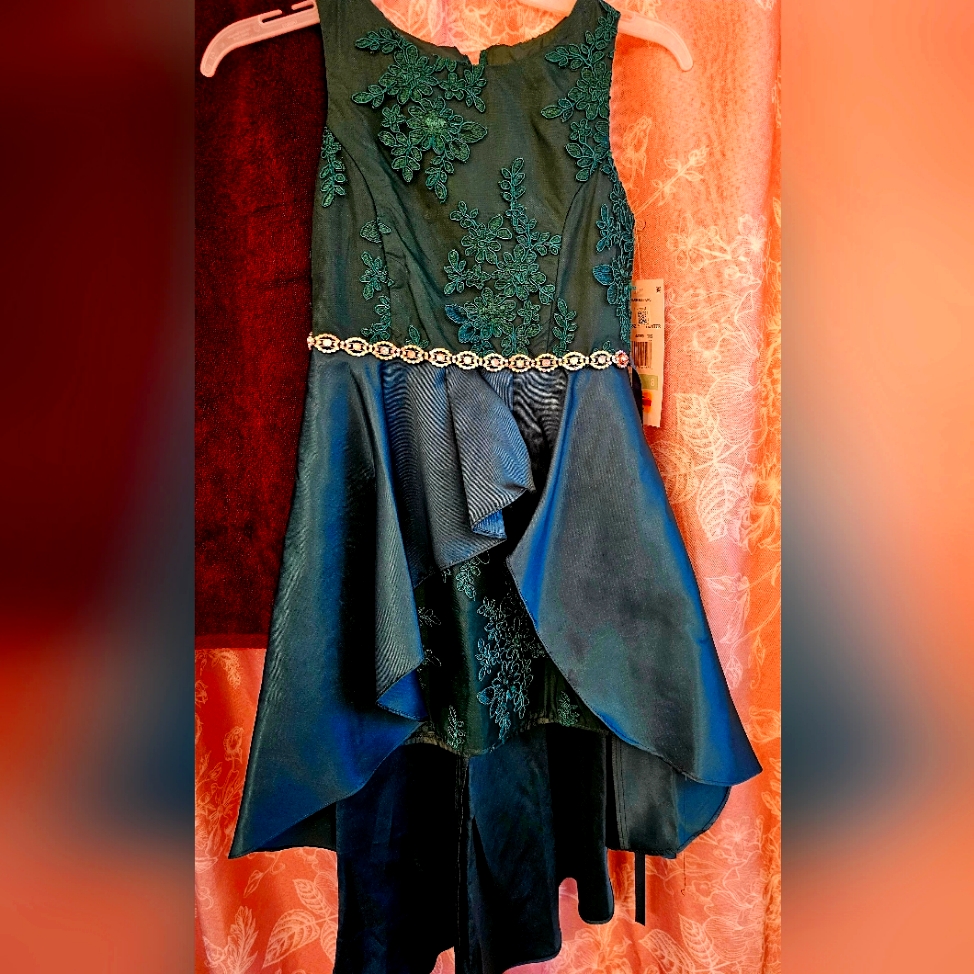 Brand New Little Girl Dress